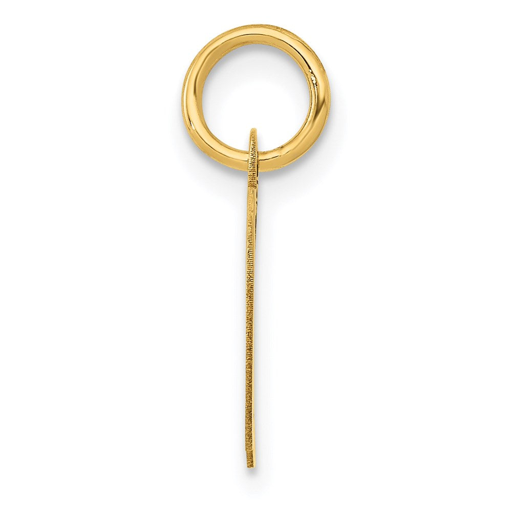 14k Yellow Gold 14K Small Fancy Script Letter D Initial Charm