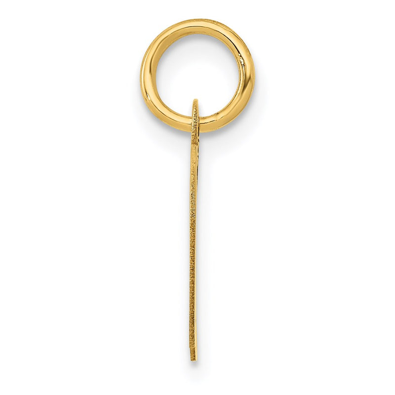 14k Yellow Gold 14K Small Fancy Script Letter D Initial Charm