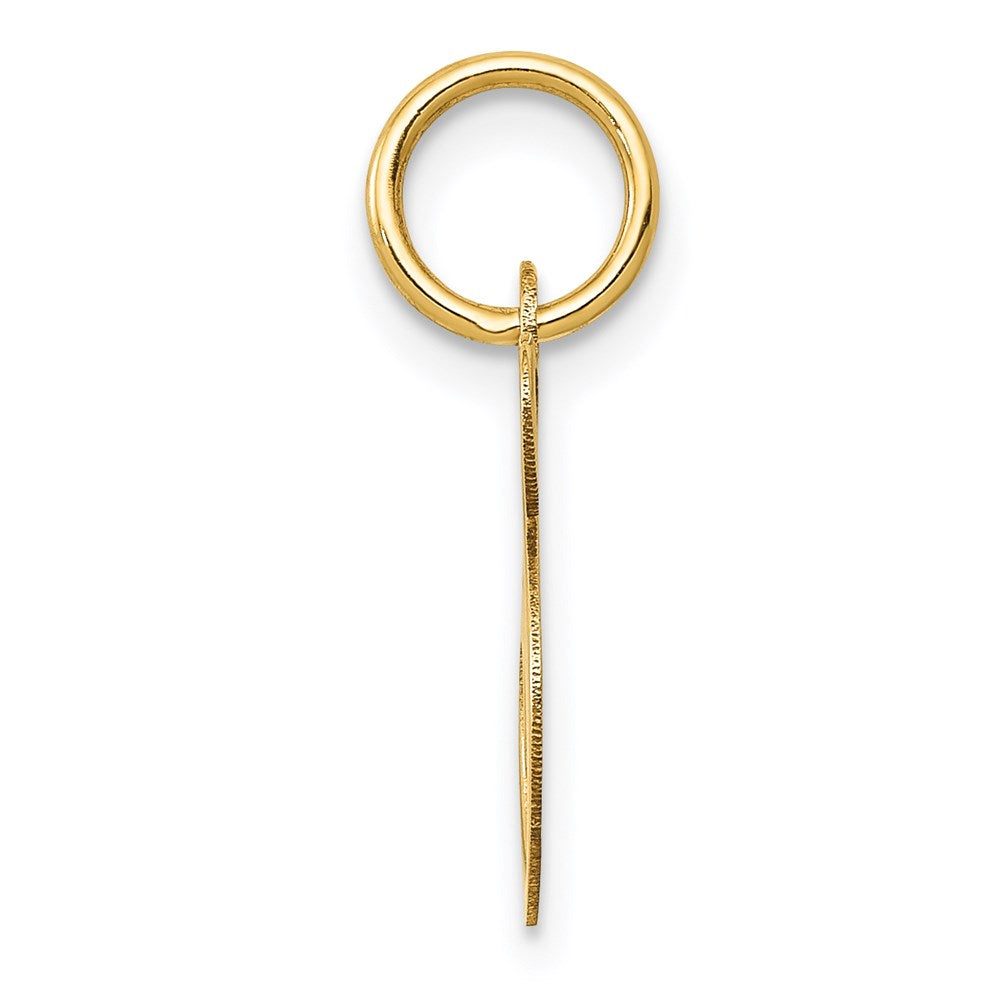 14k Yellow Gold 14K Small Fancy Script Letter S Initial Charm