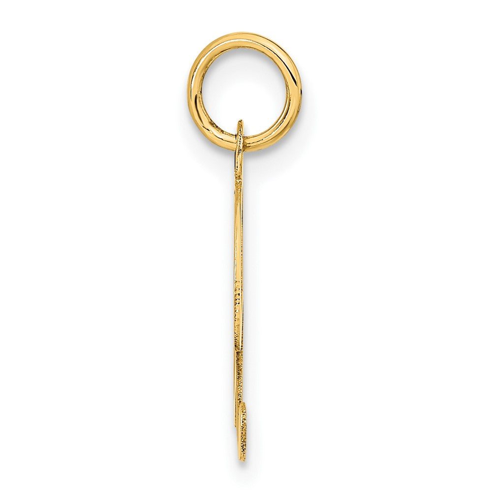 14k Yellow Gold 14K Medium Fancy Script Letter X Initial Charm