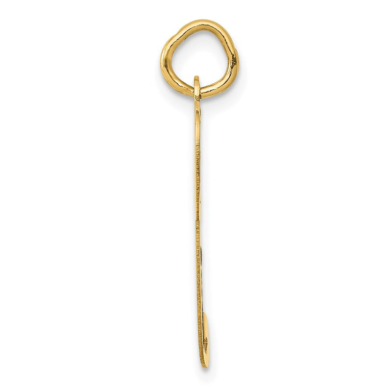 14k Yellow Gold 14k Large Fancy Script Letter P Initial Charm