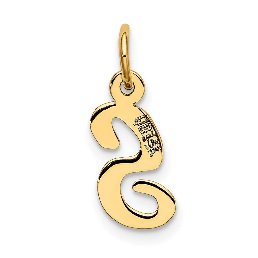 14k Yellow Gold 14k Small Script Letter S Initial Charm