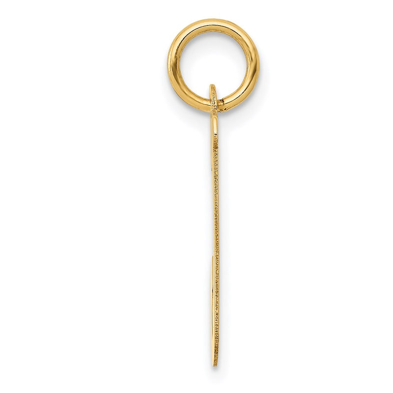 14k Yellow Gold 14k Medium Script Letter J Initial Charm