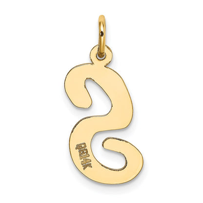 14k Yellow Gold 14k Large Script Letter S Initial Charm