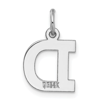 14k White Gold 14KW Small Block Letter D Initial Charm