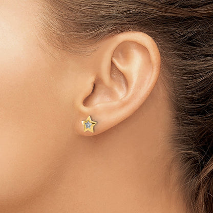 14K Yellow & Rhodium with Rhodium Polished and Textured Star Post Earrings