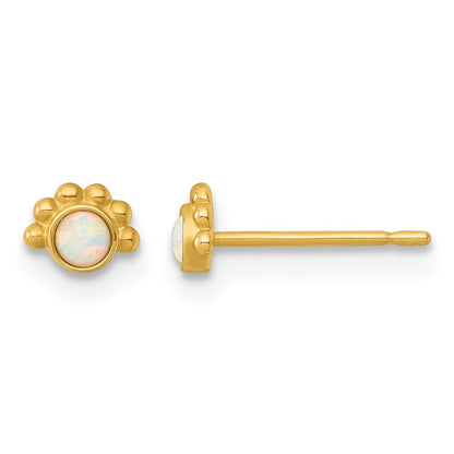 14K Yellow Gold Polished and Beaded Created Opal Post Earrings