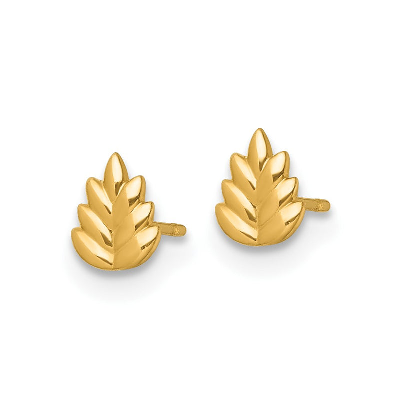 14K Yellow Gold Polished Leaf Post Earrings