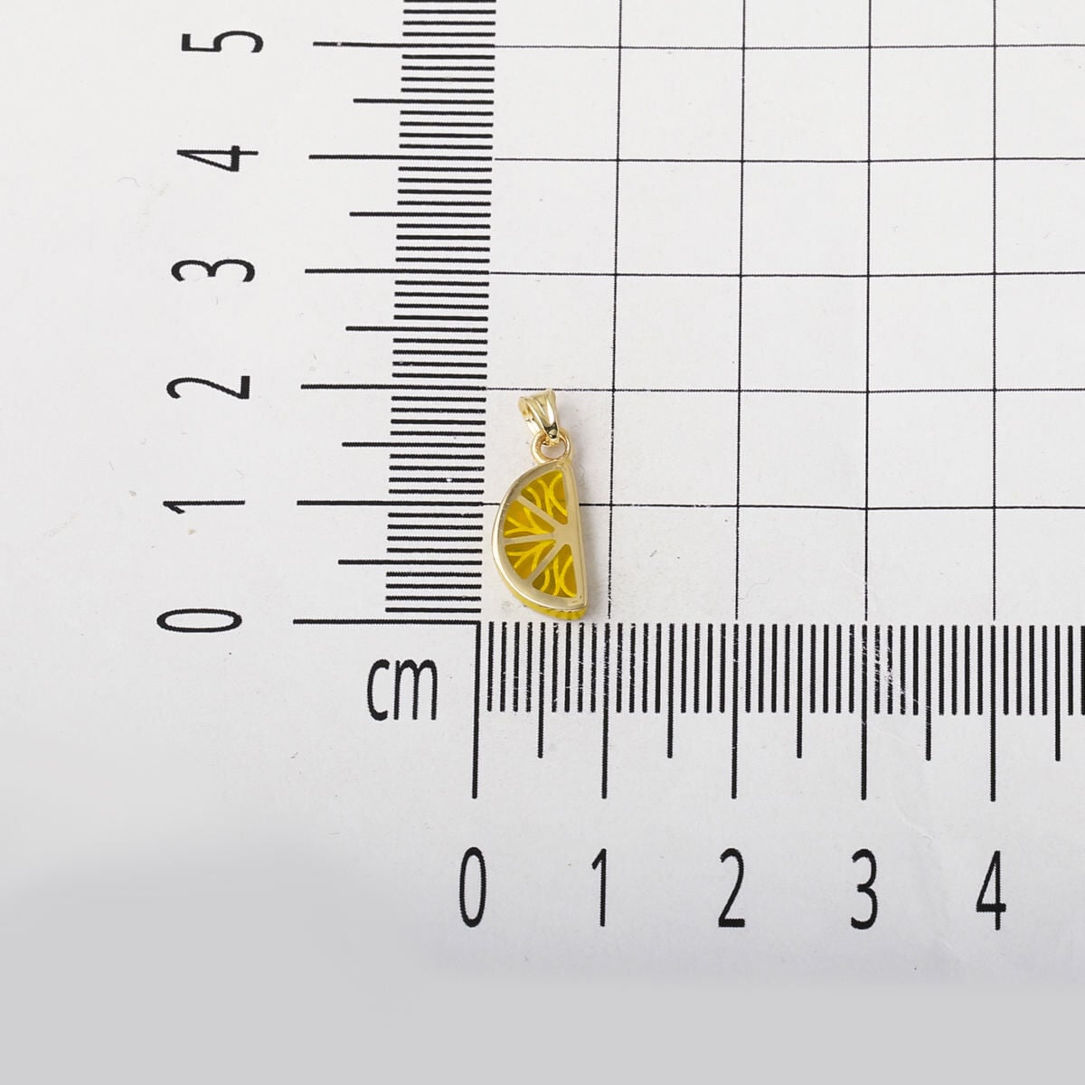 14K Yellow Gold Lemon Slice Necklace