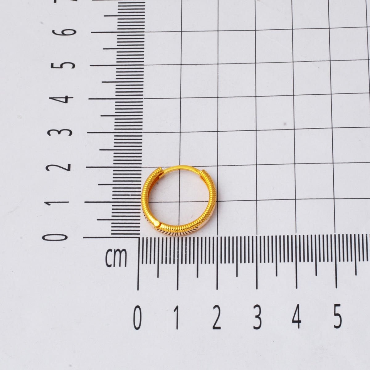 14K Yellow Gold Ajda 2 cm Diameter Hoop Earrings (3.9 g)