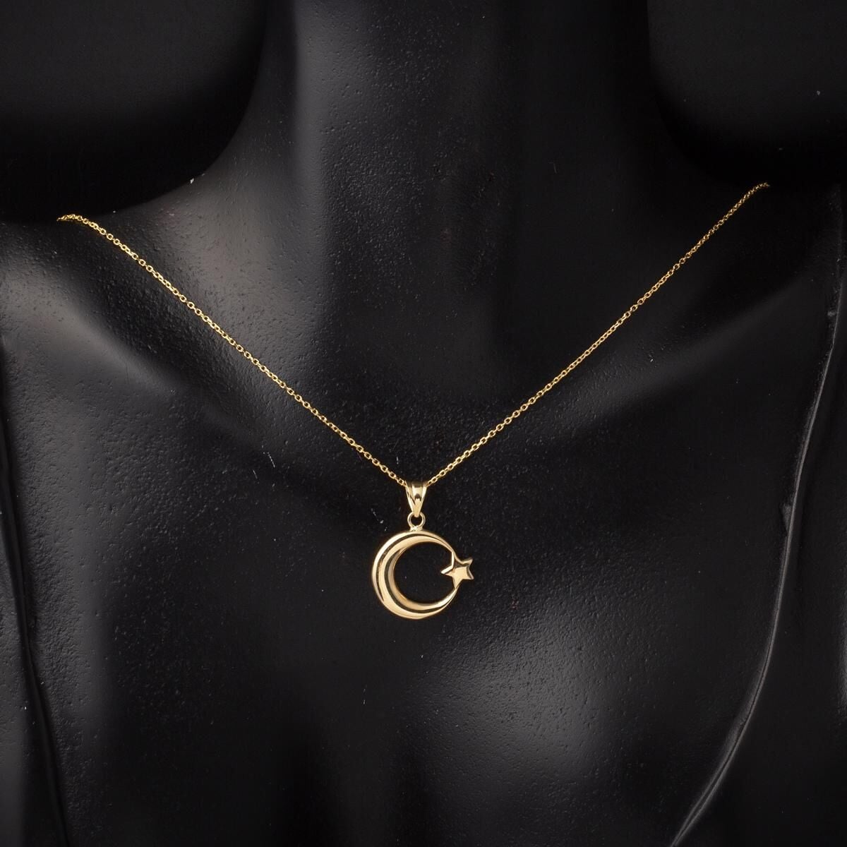 14K Yellow Gold Crescent and Star Necklace (2.18 g)