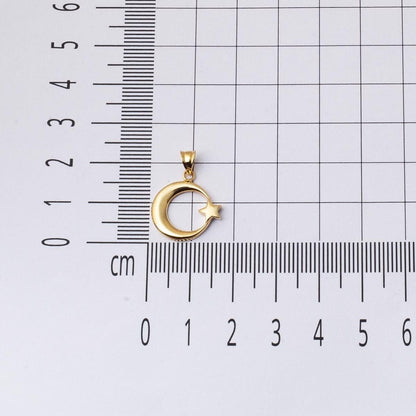 14K Yellow Gold Crescent and Star Necklace (2.18 g)