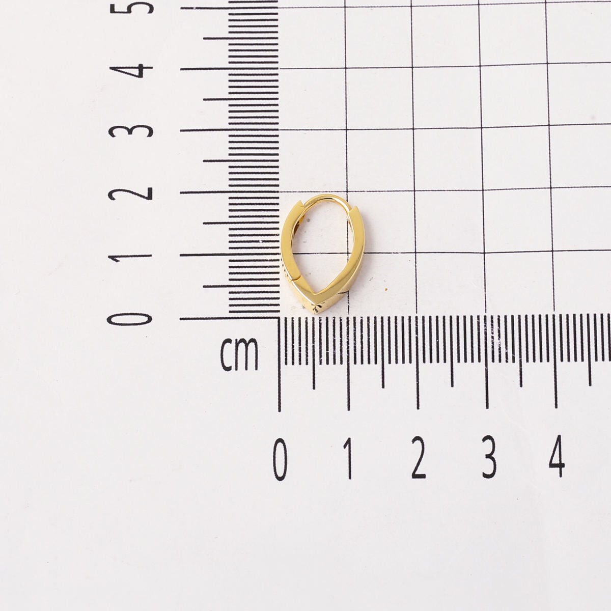 14K Yellow Gold Leaf Hoop Earrings