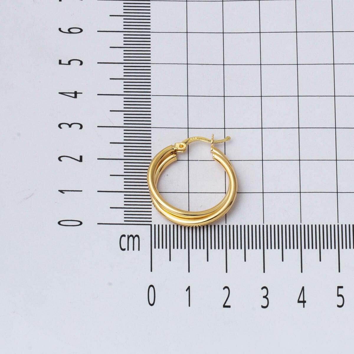 14K Yellow Gold Double Hoop Earrings