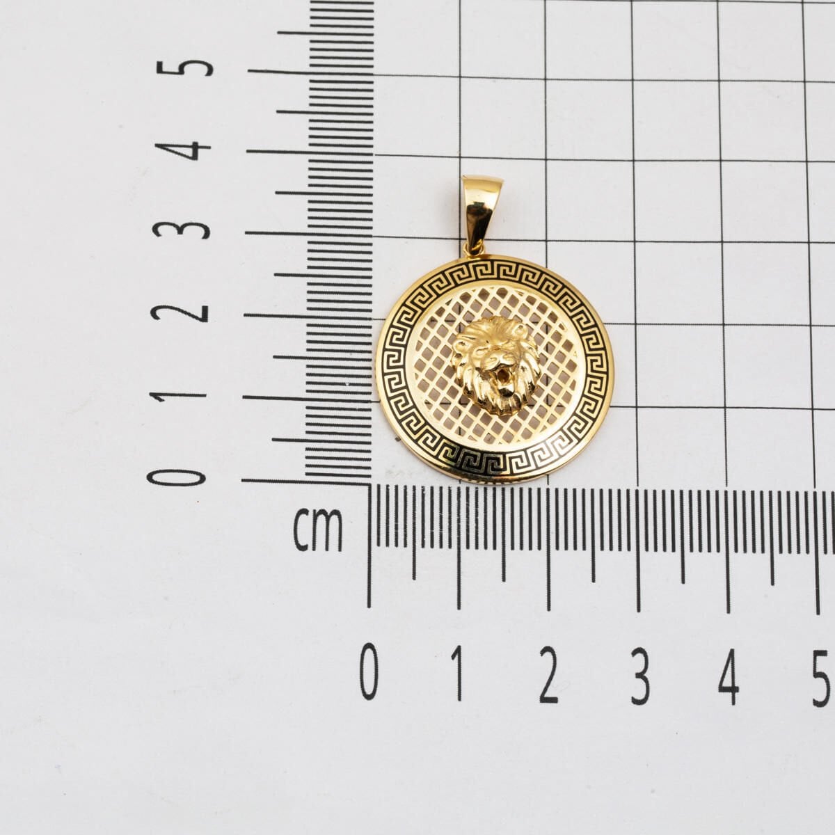 14K Yellow Gold Lion Medallion Pendant