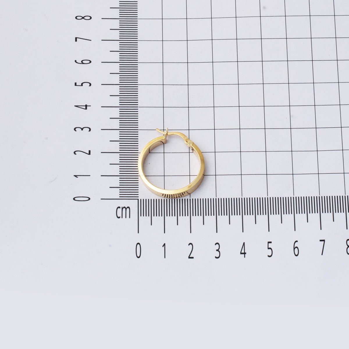 14K Yellow Gold Designer Inspired 3 cm Diameter Hoop Earrings