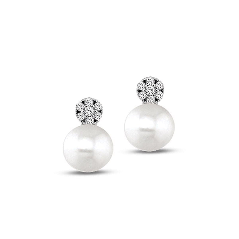 14K White Gold Massima Pearl Earrings