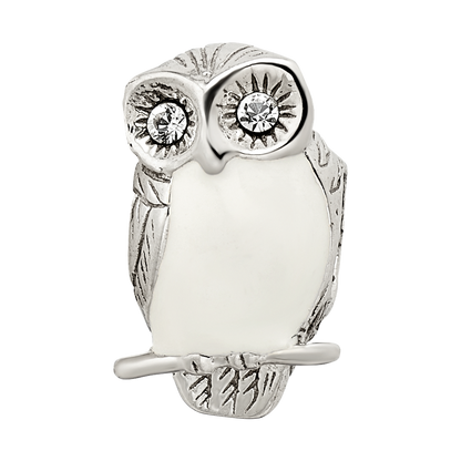 Sterling Silver Reflections Enameled Wise Owl Bead