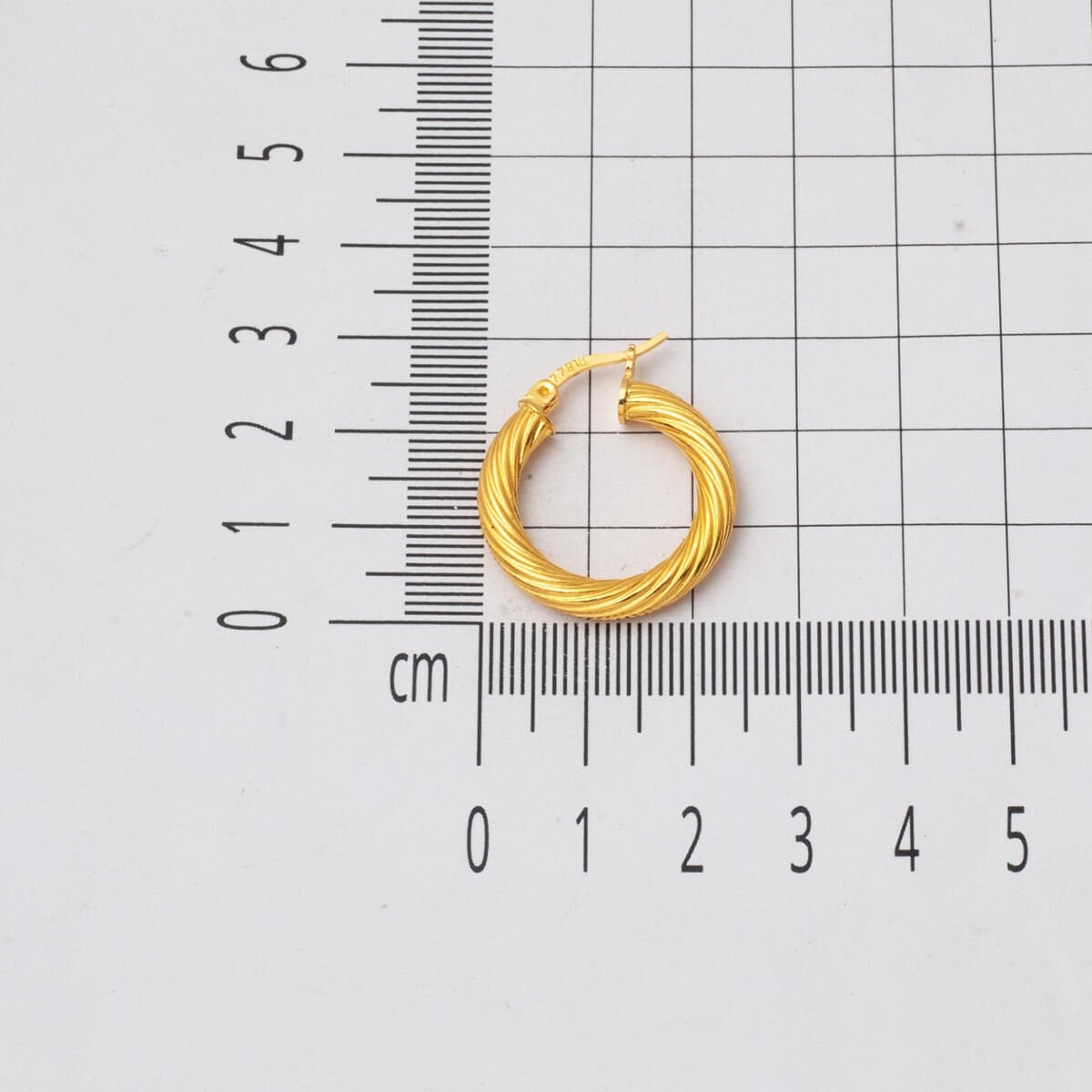 22K Yellow Gold Wind Twisted Hoop Earrings