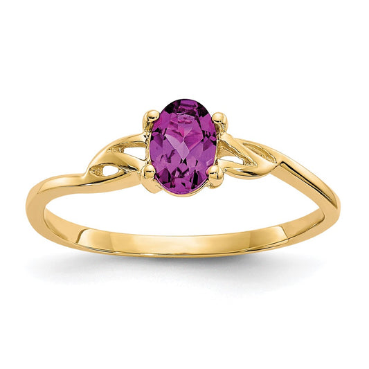 10k Yellow Gold Polished Genuine Rhodolite Garnet Birthstone Ring
