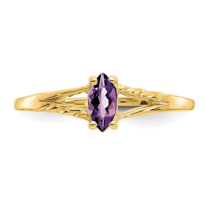 10K Yellow Gold Polished Geniune Amethyst Birthstone Ring