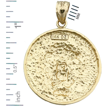 14K Gold Lion Head Medallion