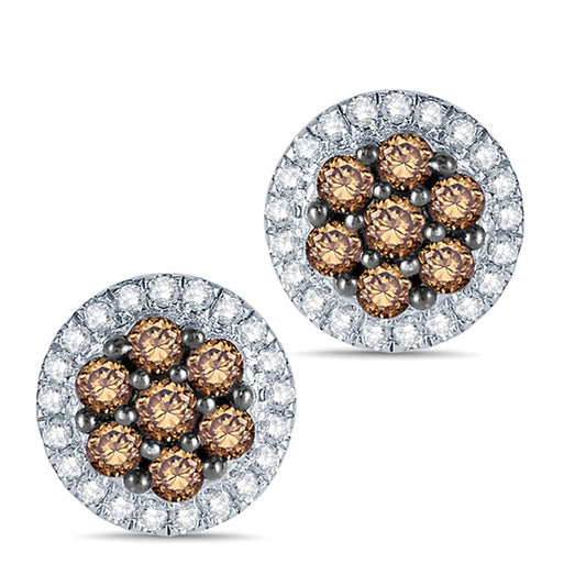 0.33 CT. T.W. Champagne and White Diamond Frame Stud Earrings in 10K Rose Gold
