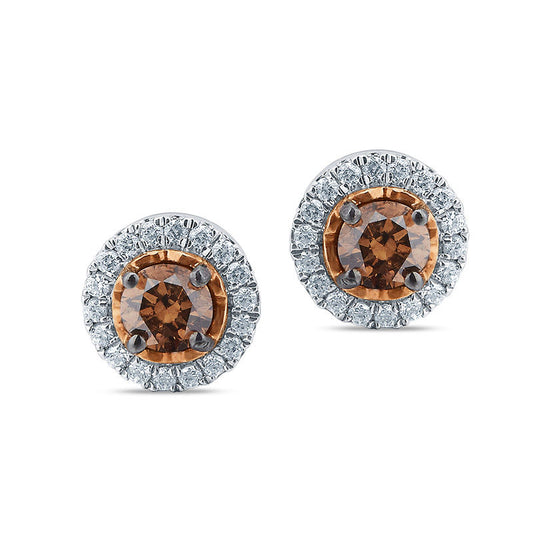 0.5 CT. T.W. Champagne and White Diamond Frame Stud Earrings in 10K Rose Gold