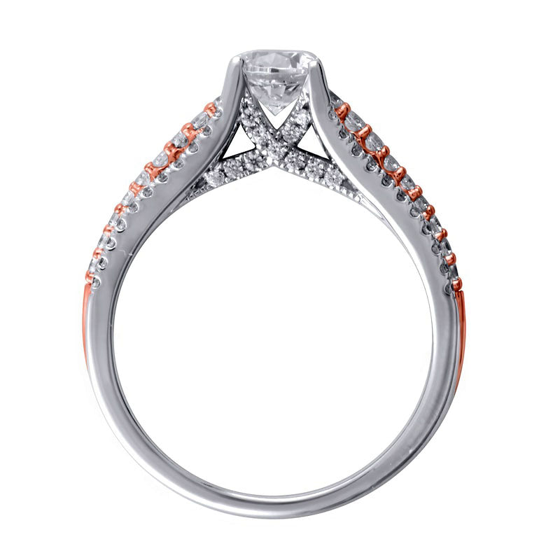 1.0 CT. T.W. Princess-Cut Natural Diamond Multi-Row Engagement Ring in Solid 14K Two-Tone Gold