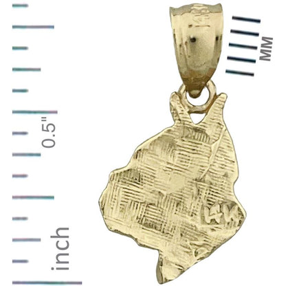 14K Gold Boxer Face Charm