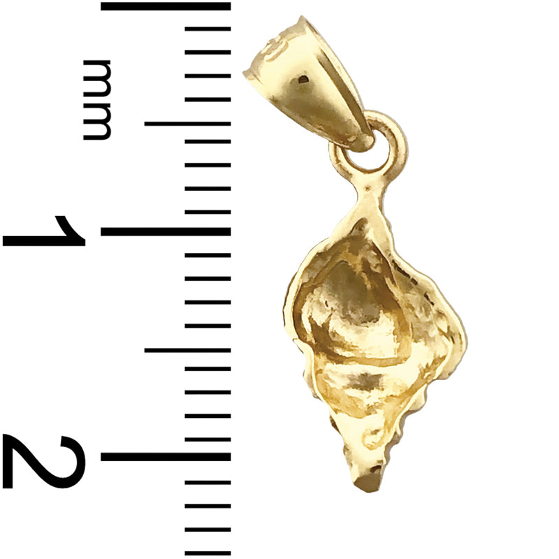14K Gold Mollusk Shell Charm