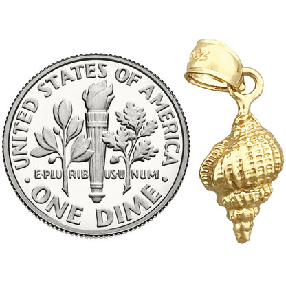 14K Gold Mollusk Shell Charm