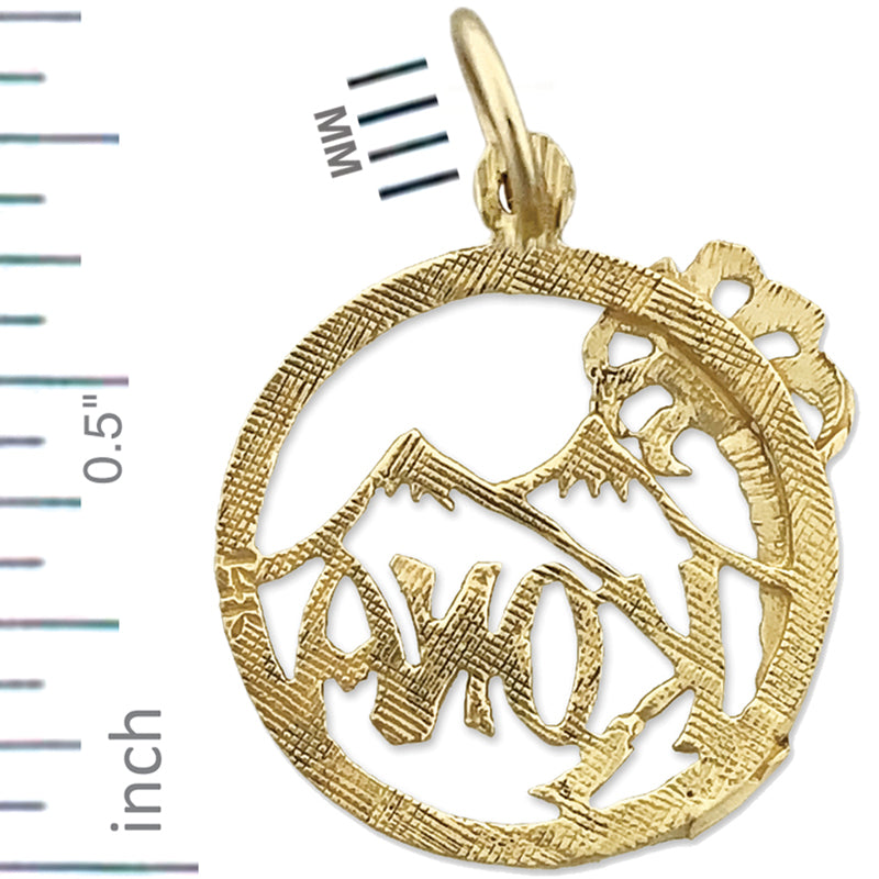 14K Gold Hawaii Kona Island Charm