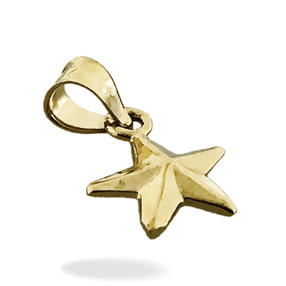 14K Gold Star Charm