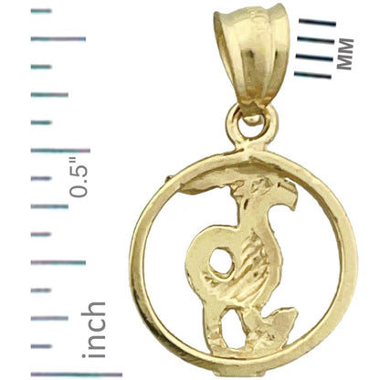 14K Gold Capricorn Zodiac Circle Charm
