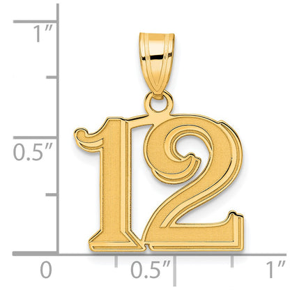 14k Yellow Gold Polished Etched Number 12 Pendant
