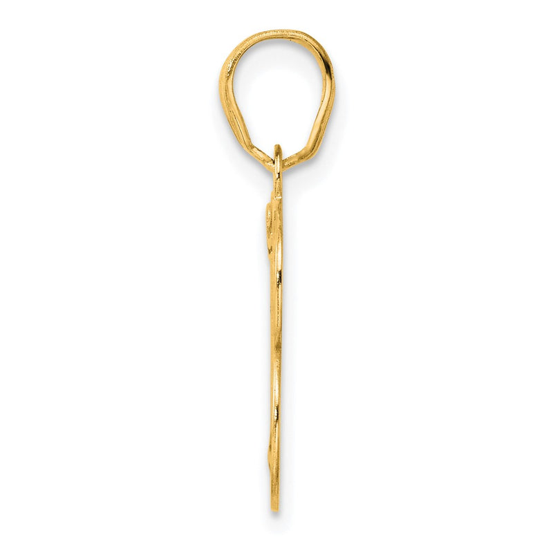 14k Yellow Gold Polished Etched Number 13 Pendant
