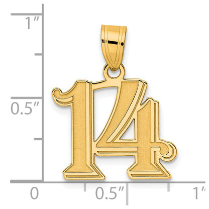 14k Yellow Gold Polished Etched Number 14 Pendant