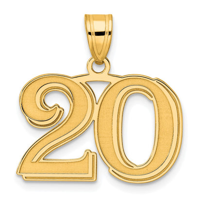 14k Yellow Gold Polished Etched Number 20 Pendant