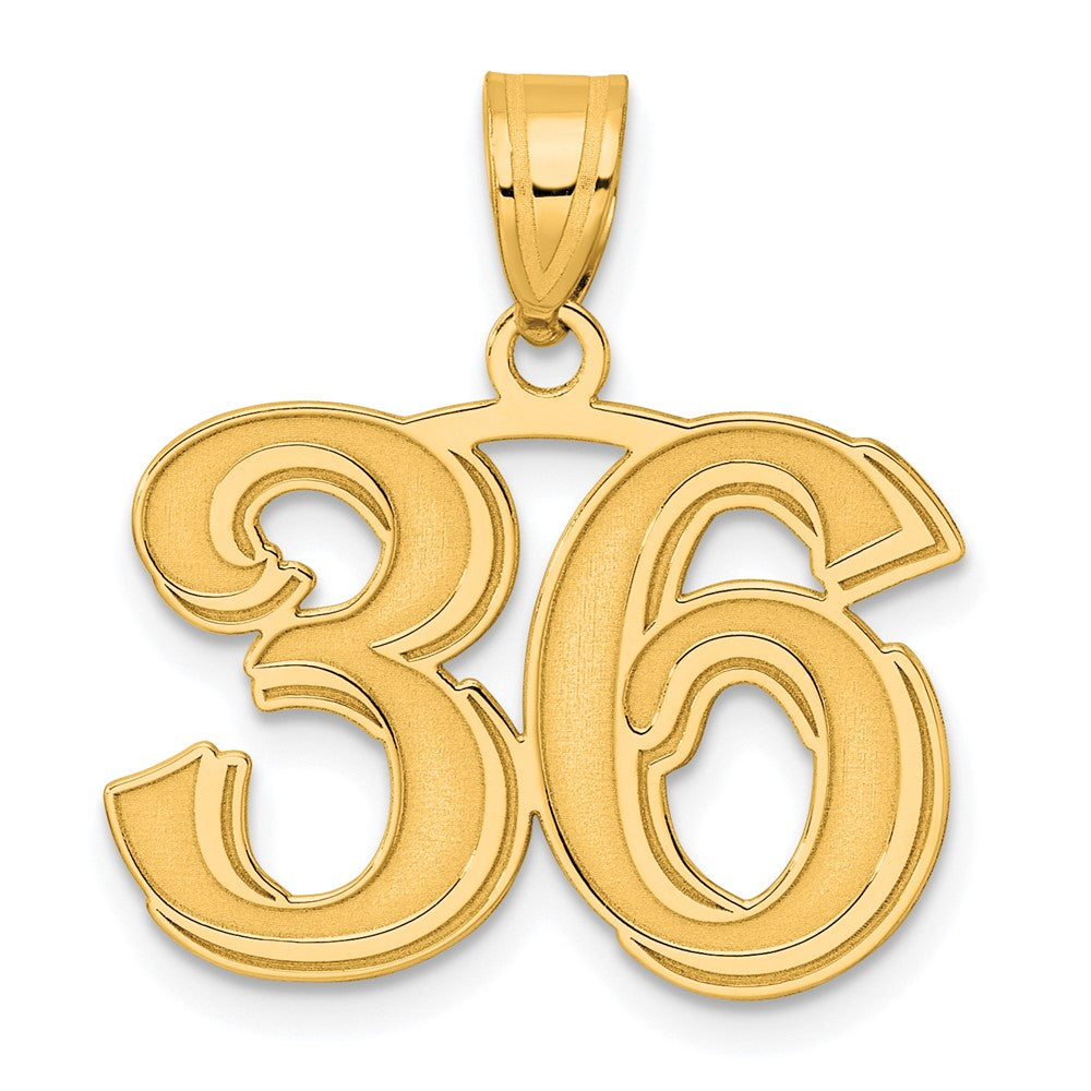 14k Yellow Gold Polished Etched Number 36 Pendant