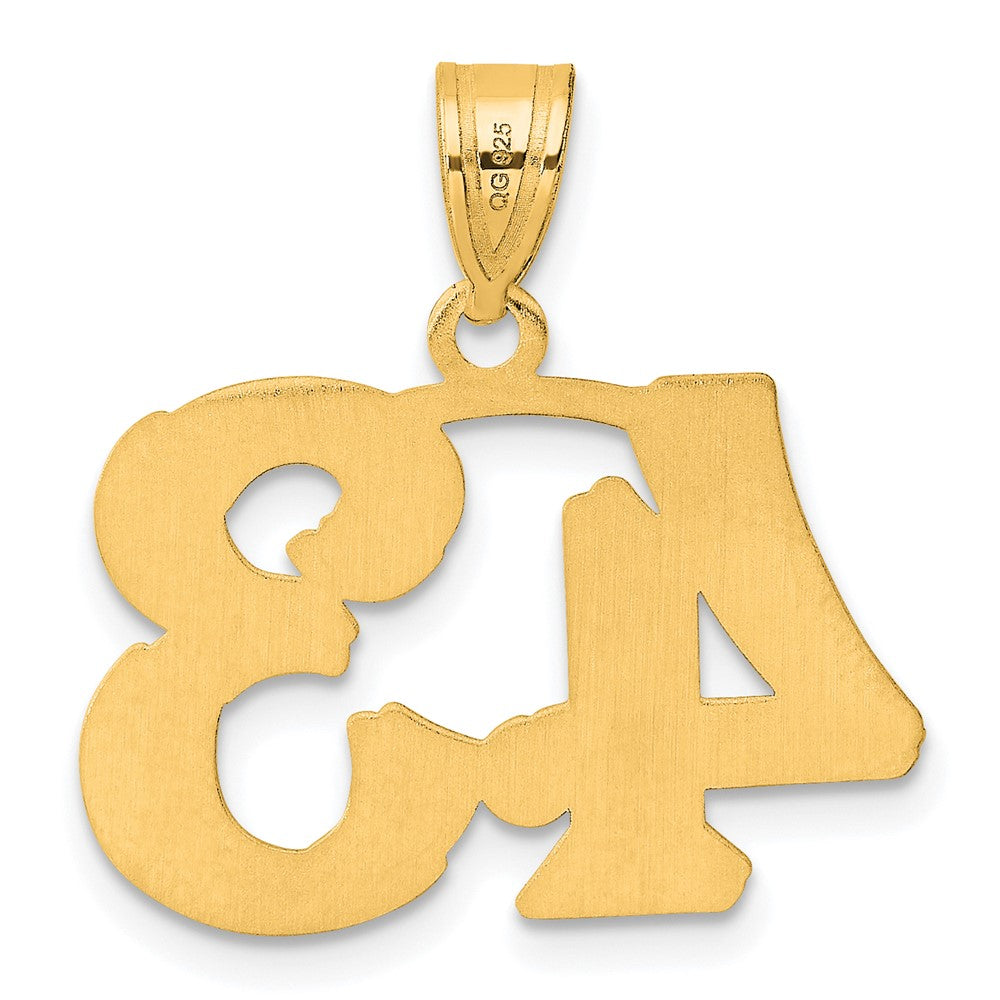 14k Yellow Gold Polished Etched Number 43 Pendant