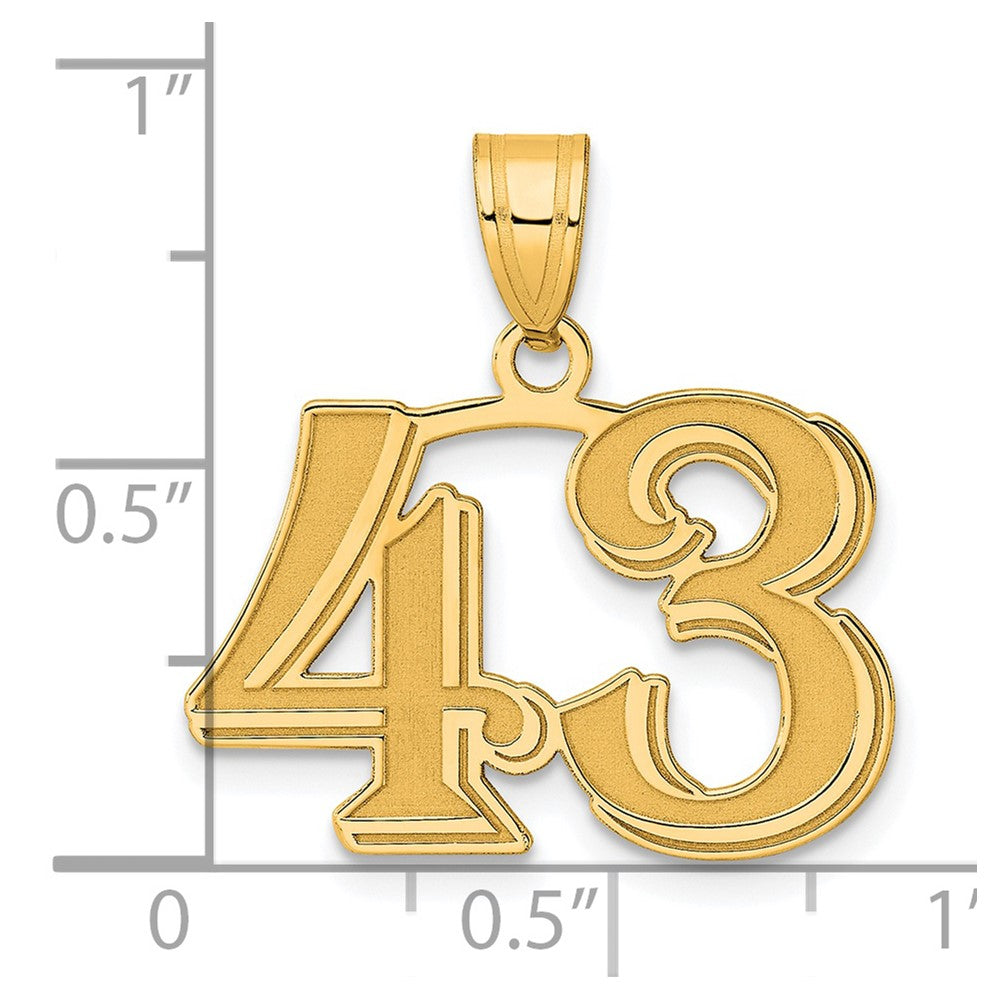 14k Yellow Gold Polished Etched Number 43 Pendant