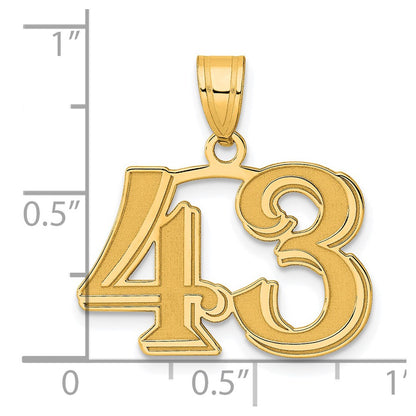 14k Yellow Gold Polished Etched Number 43 Pendant