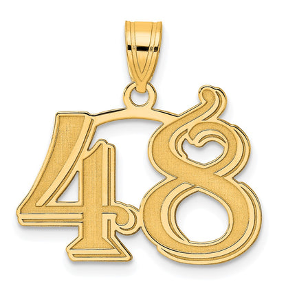 14k Yellow Gold Polished Etched Number 48 Pendant
