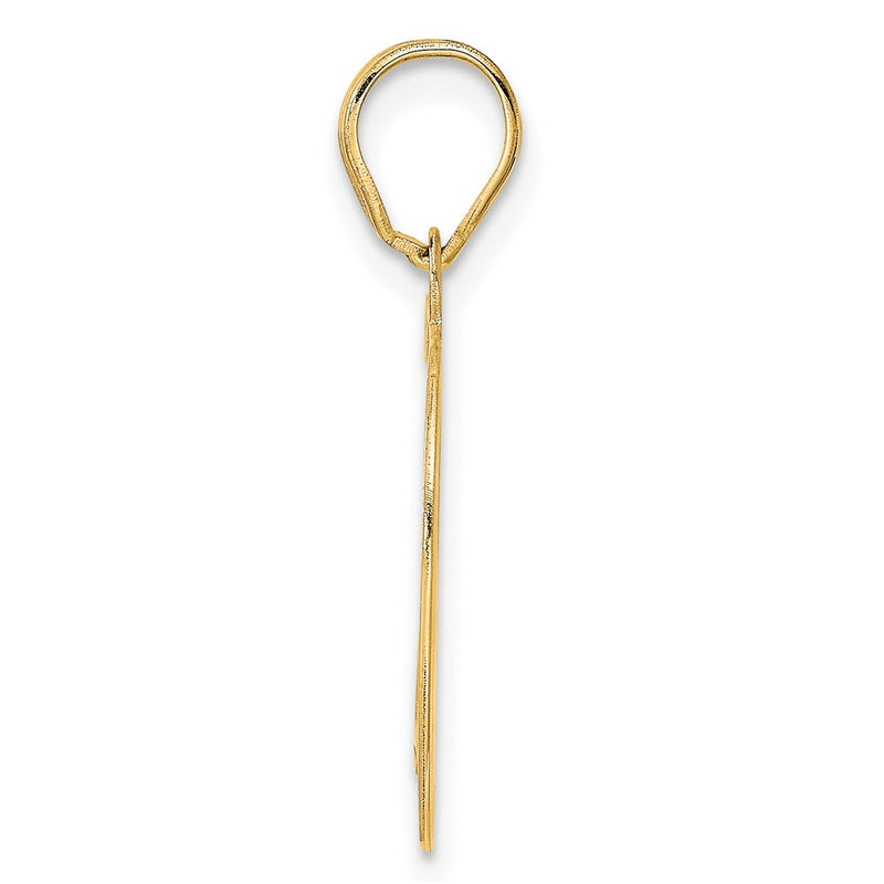 14k Yellow Gold Polished Etched Number 79 Pendant