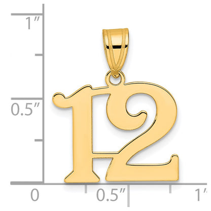 14k Yellow Gold Polished Number 12 Pendant