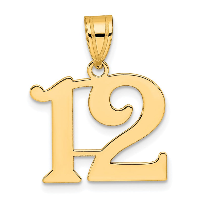 14k Yellow Gold Polished Number 12 Pendant