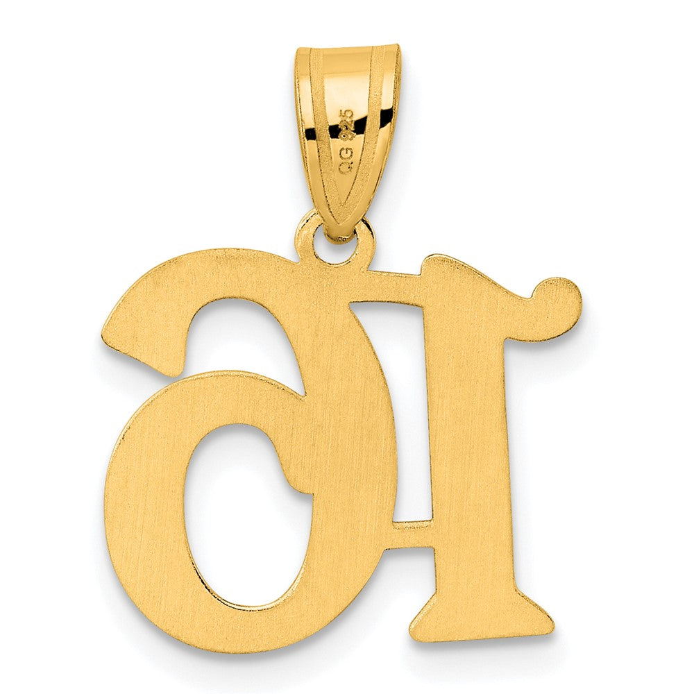 14k Yellow Gold Polished Number 16 Pendant