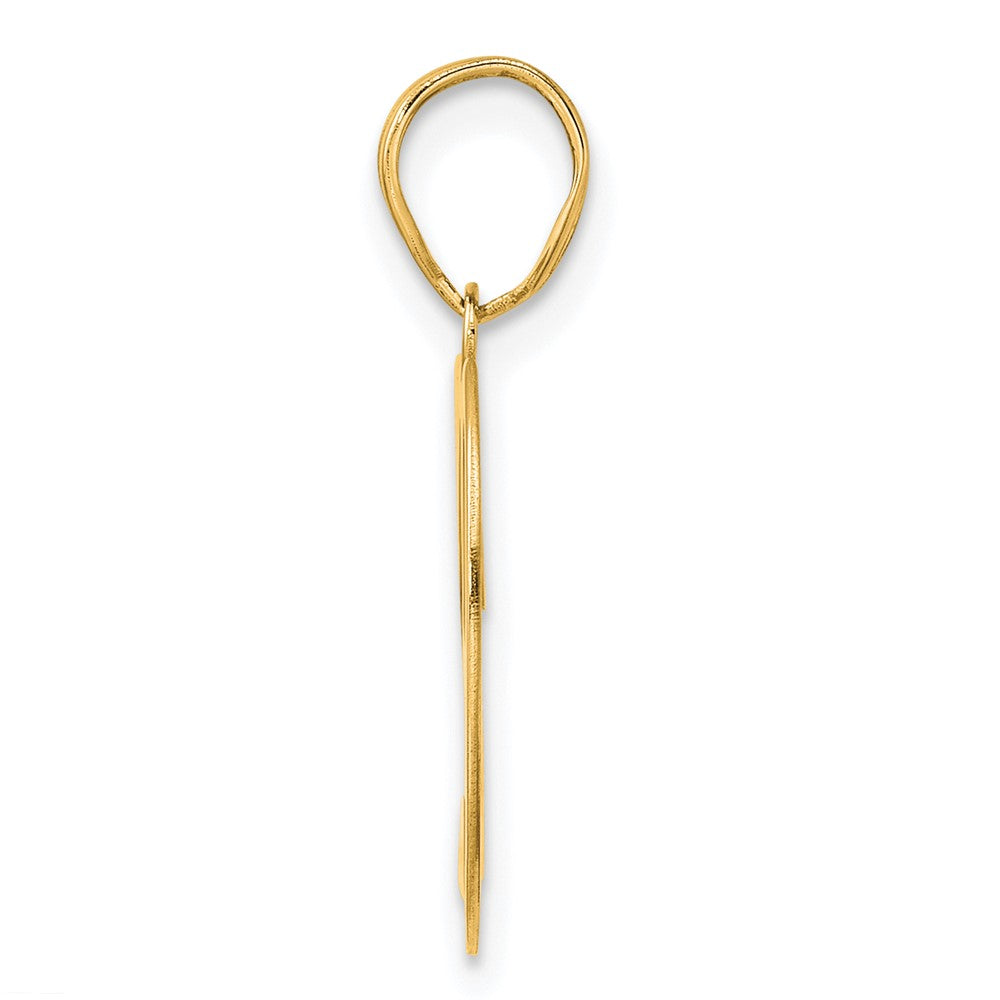 14k Yellow Gold Polished Number 29 Pendant