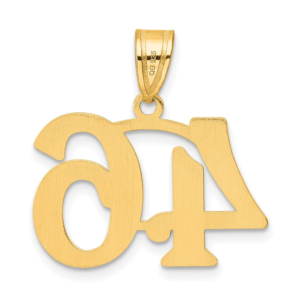 14k Yellow Gold Polished Number 46 Pendant